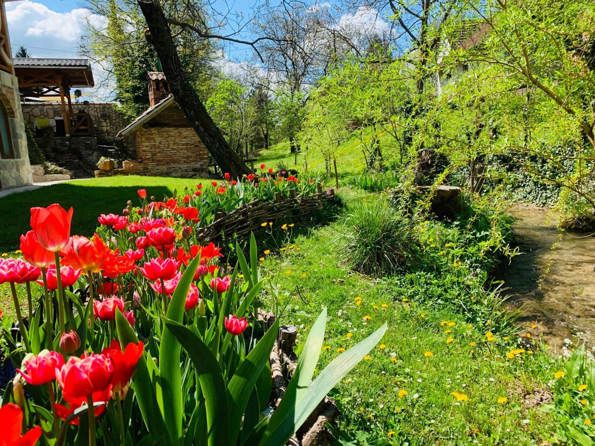 Kuca Za Odmor Carolija Villa Ястребарско Екстериор снимка